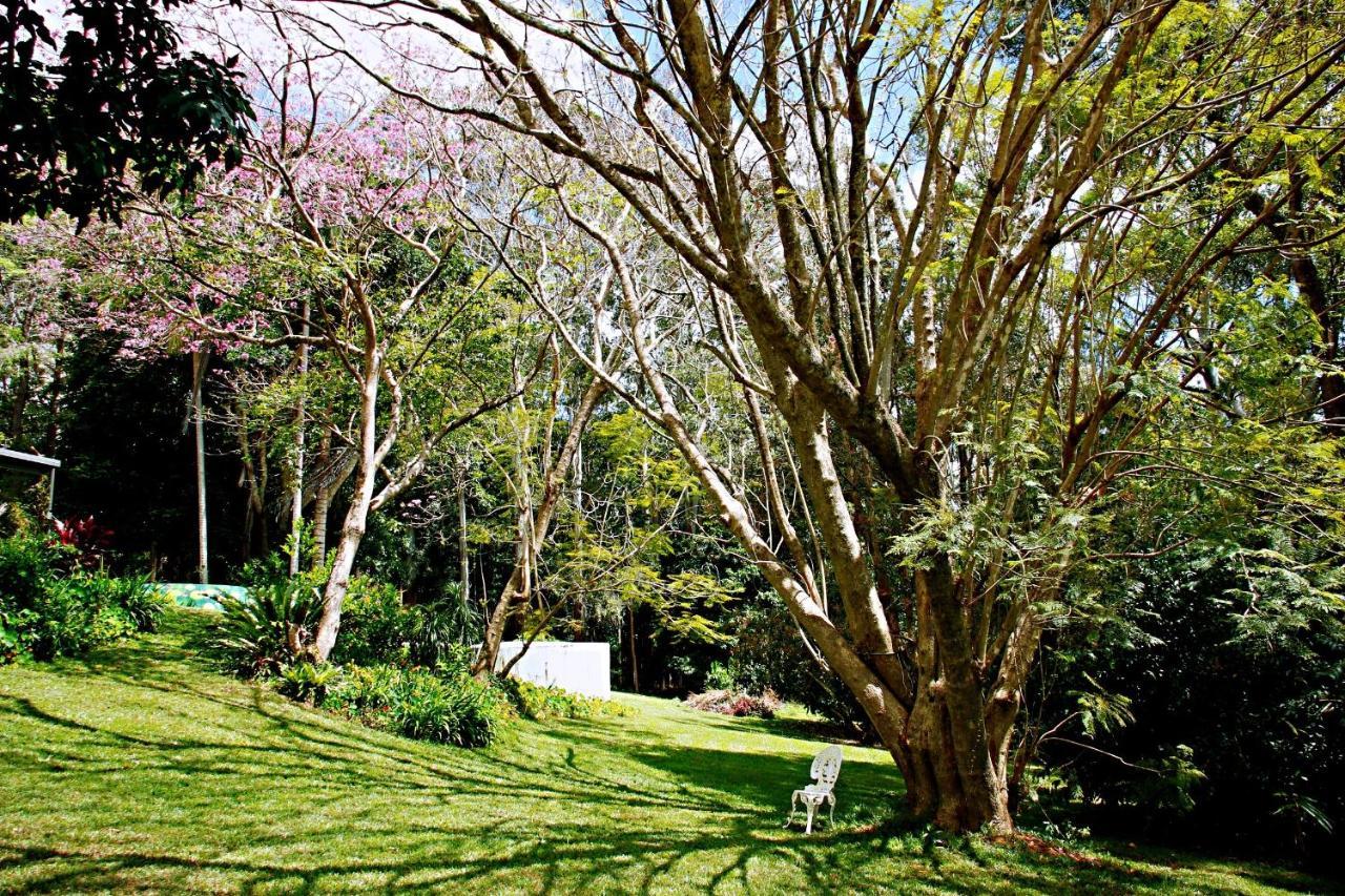 Maleny Monet Studio Εξωτερικό φωτογραφία